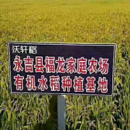 福龙农场（万昌大米）