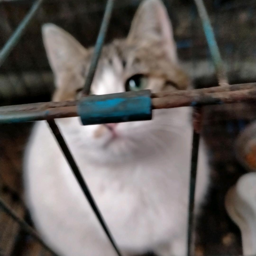 用户2693786916690