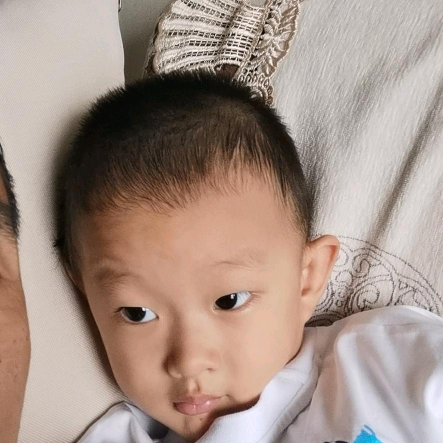 明珠金陆