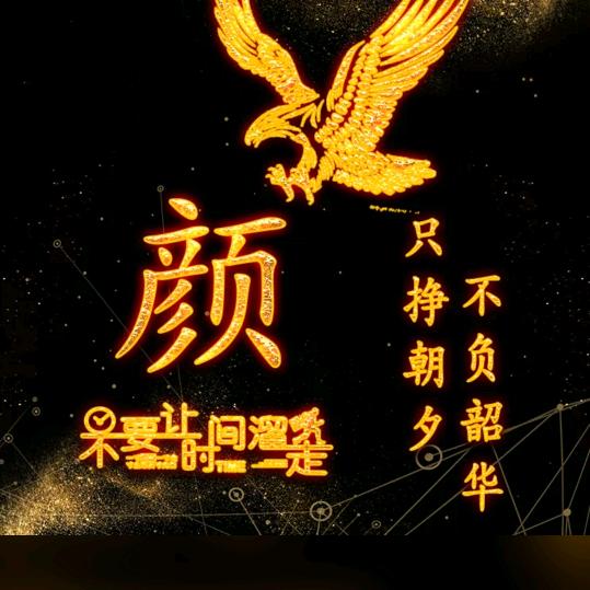 郯城玉林银杏苗木基地
