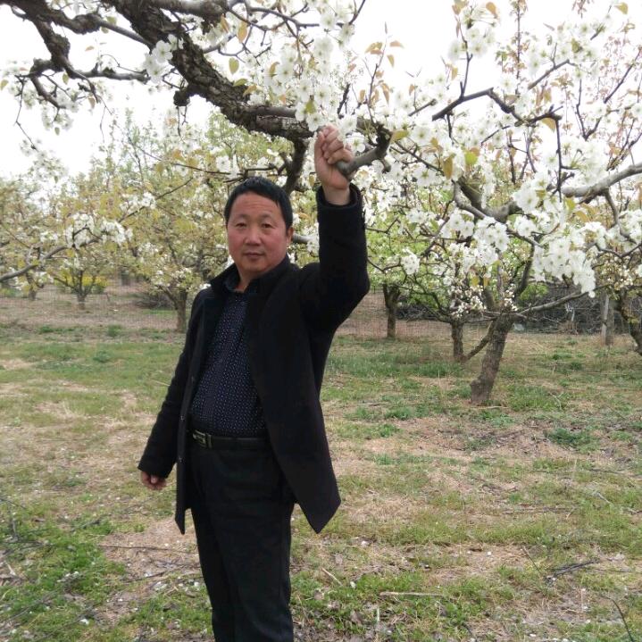 泗县找沟崔宁农资