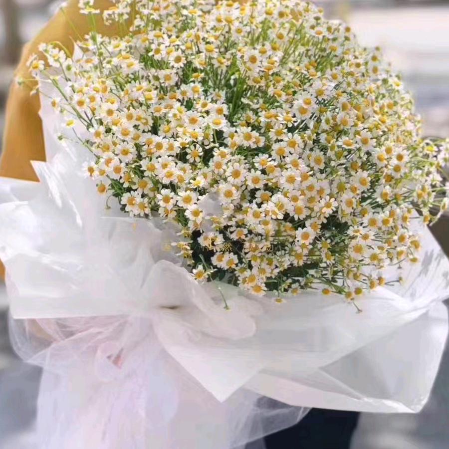 花田小匠  三宝妈