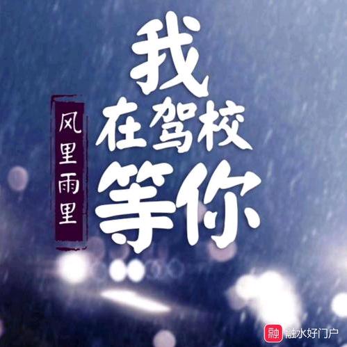 驾考培训李教练