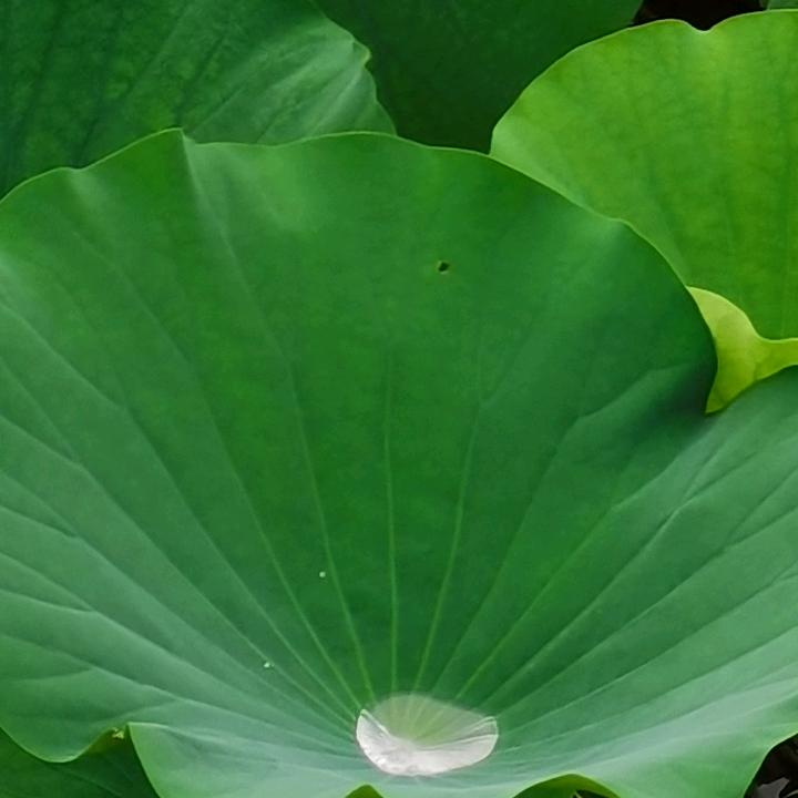 国防教育研学夏令营