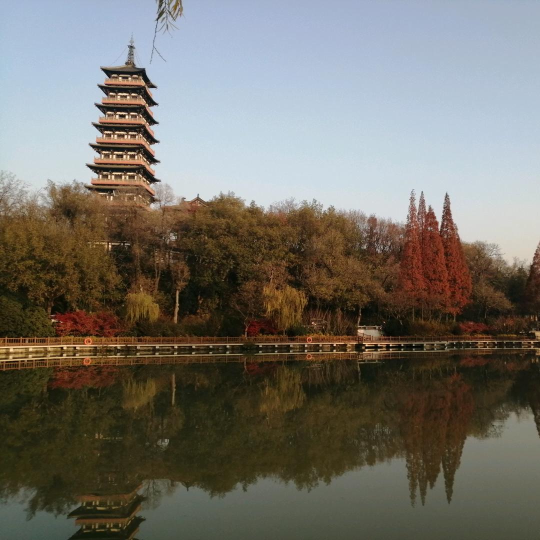 为了明天