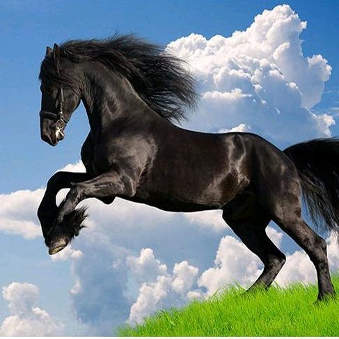 万马奔腾