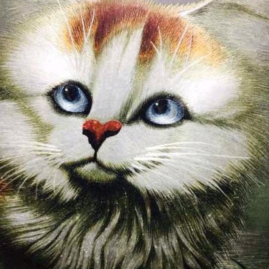 ❤️ 我心永恒 ❤️