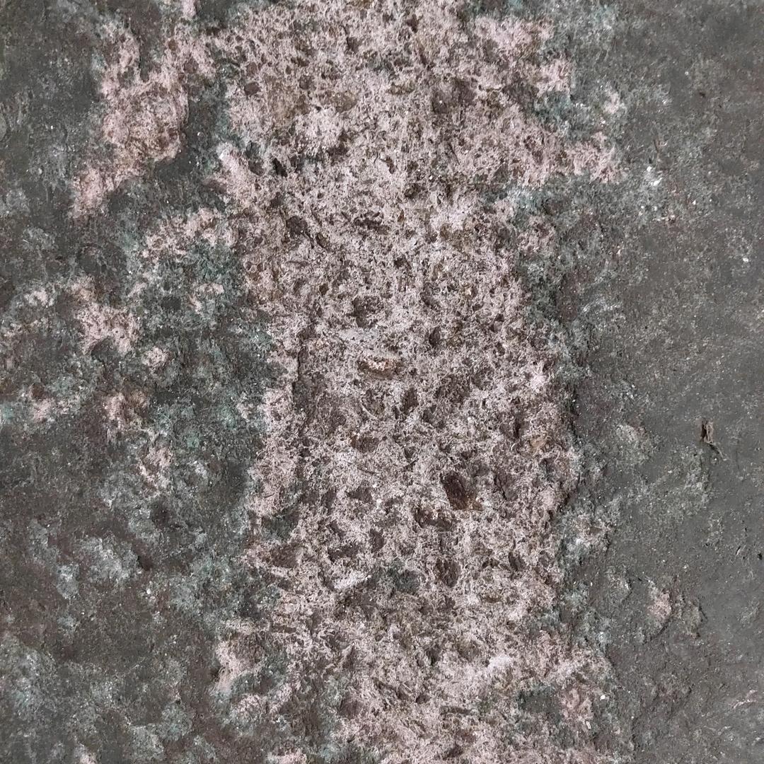 什么样的心情