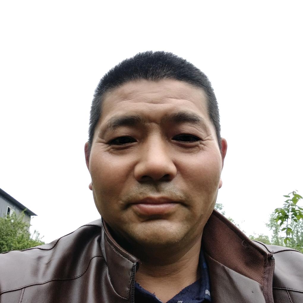 木木高克红