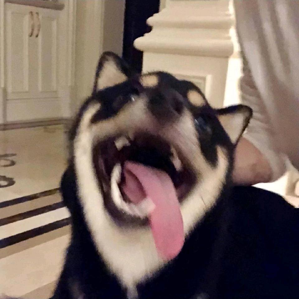 emoha