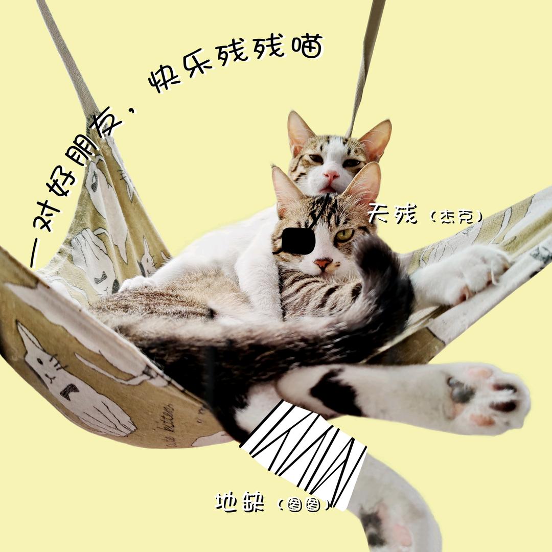 五方世纪