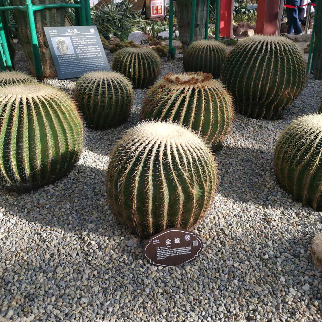 从零开始？