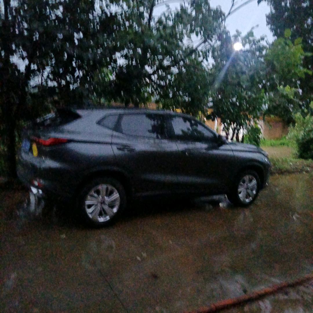 涛哥👨‍👩‍👧