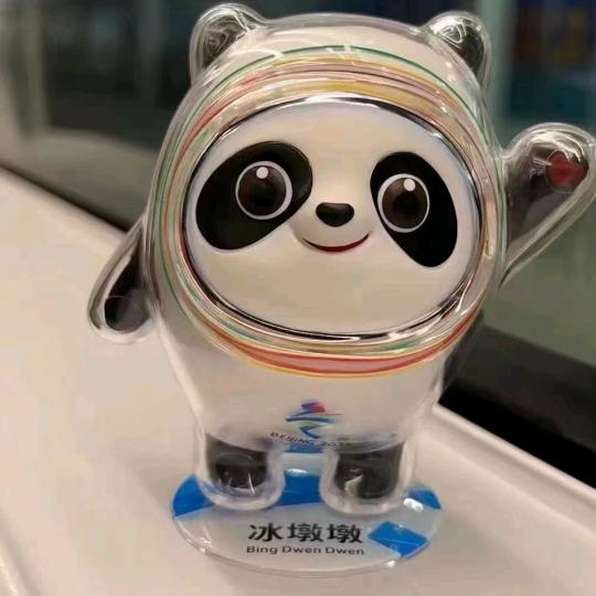 独宠丫头