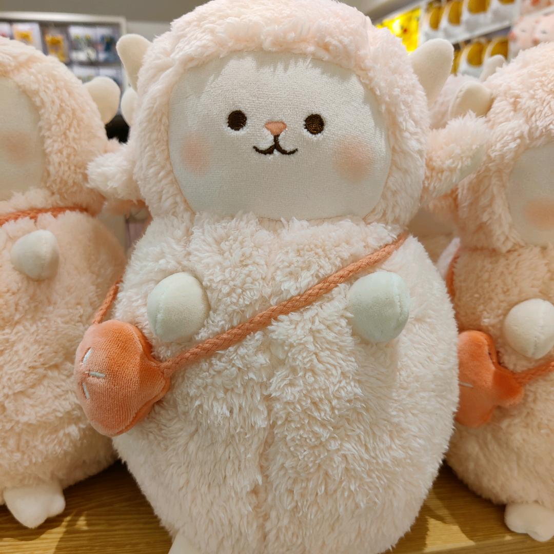 辉爷