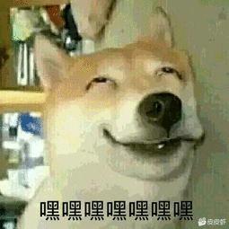 AAA.孙笑川哥哥儒雅随和（国道无敌版）