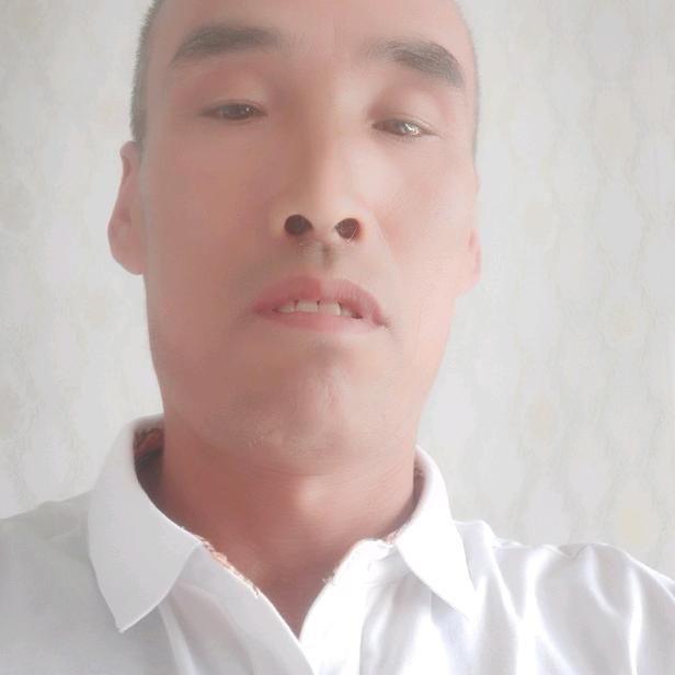 东北四哥