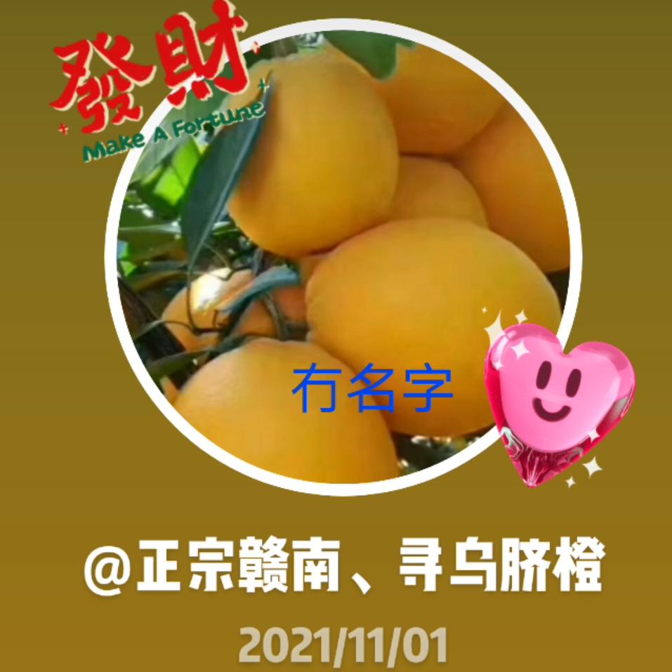 正宗赣南、寻乌脐橙