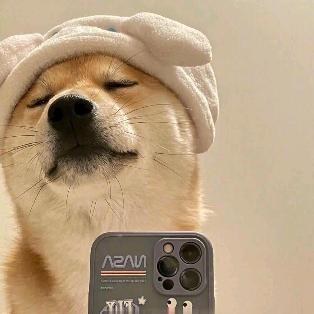 小小贞