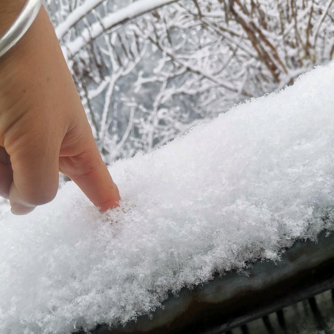 把自己弄丢了。