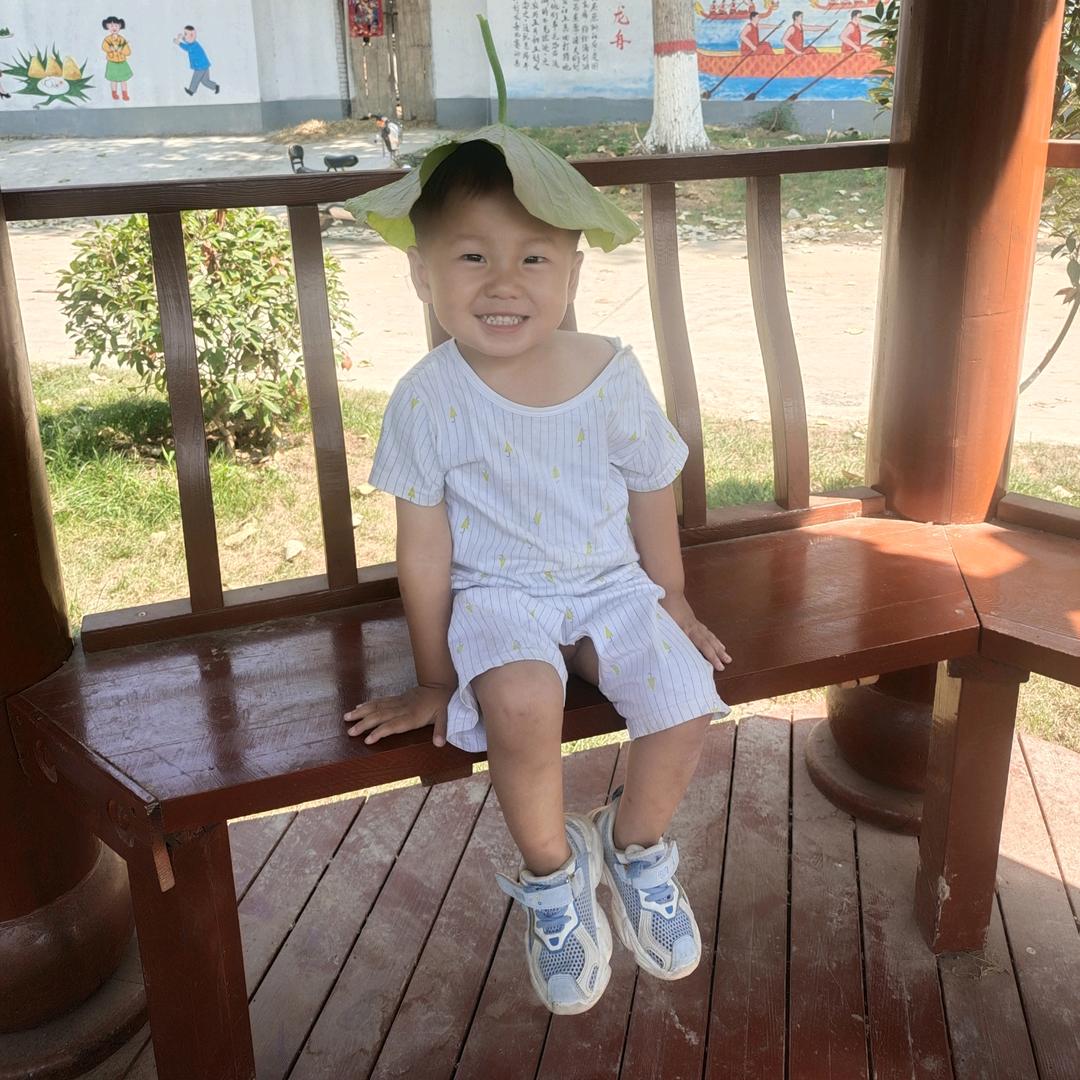 @力哥