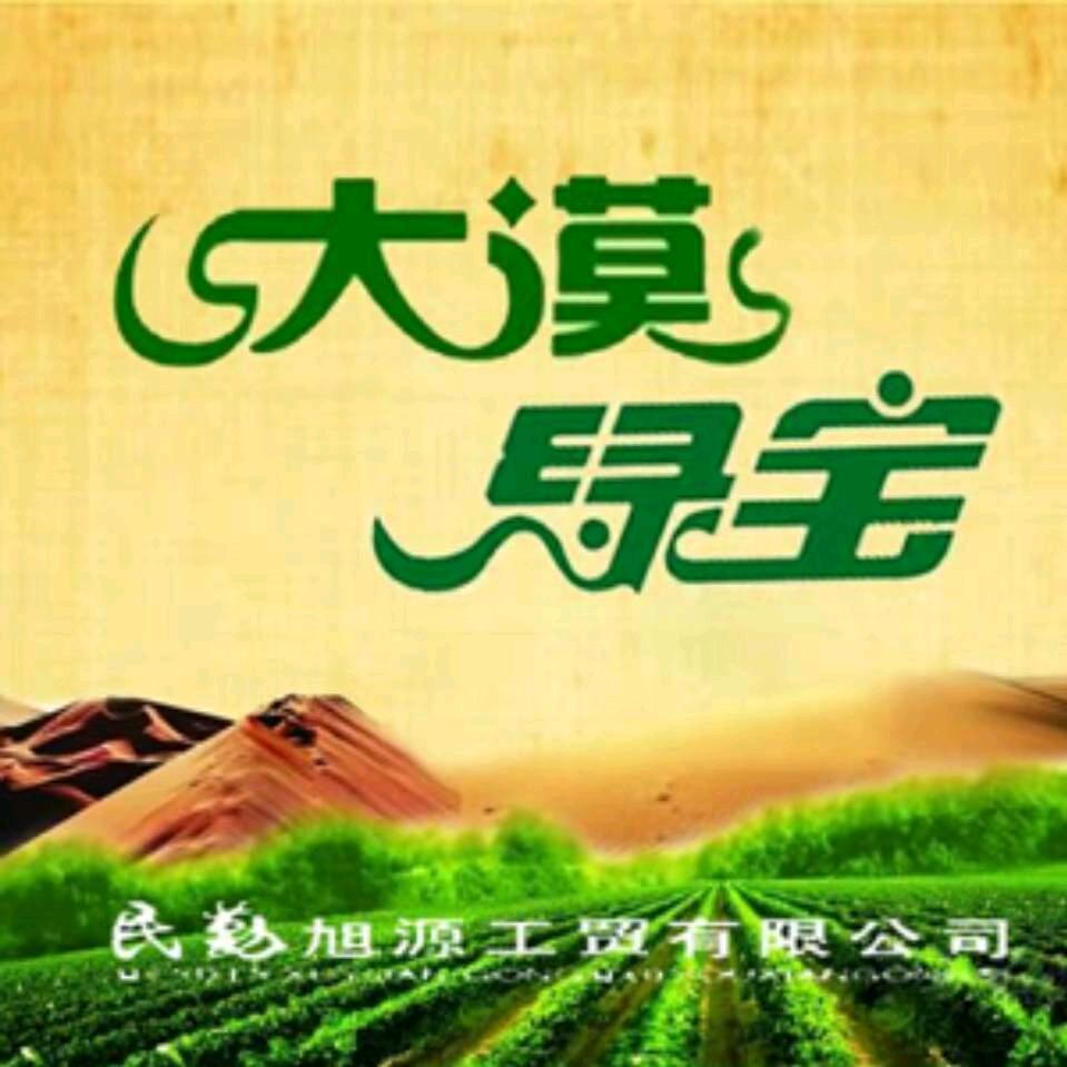 大漠绿宝（民勤蜜瓜）