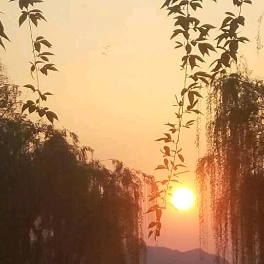某天