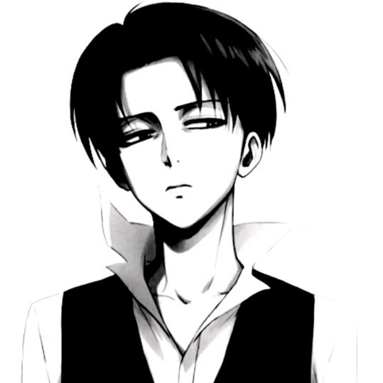 levi~（艾笠人）