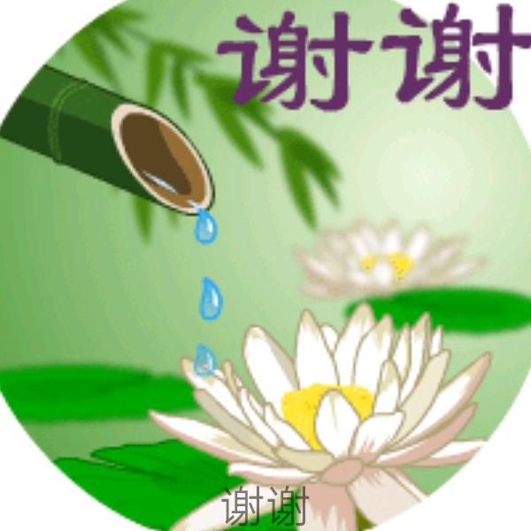沉静的智伟