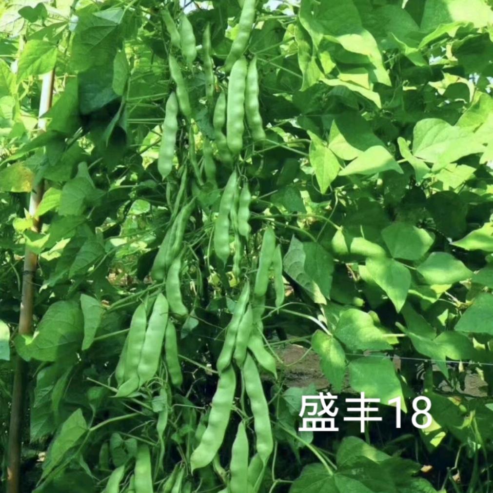 哈尔滨田园丰种业