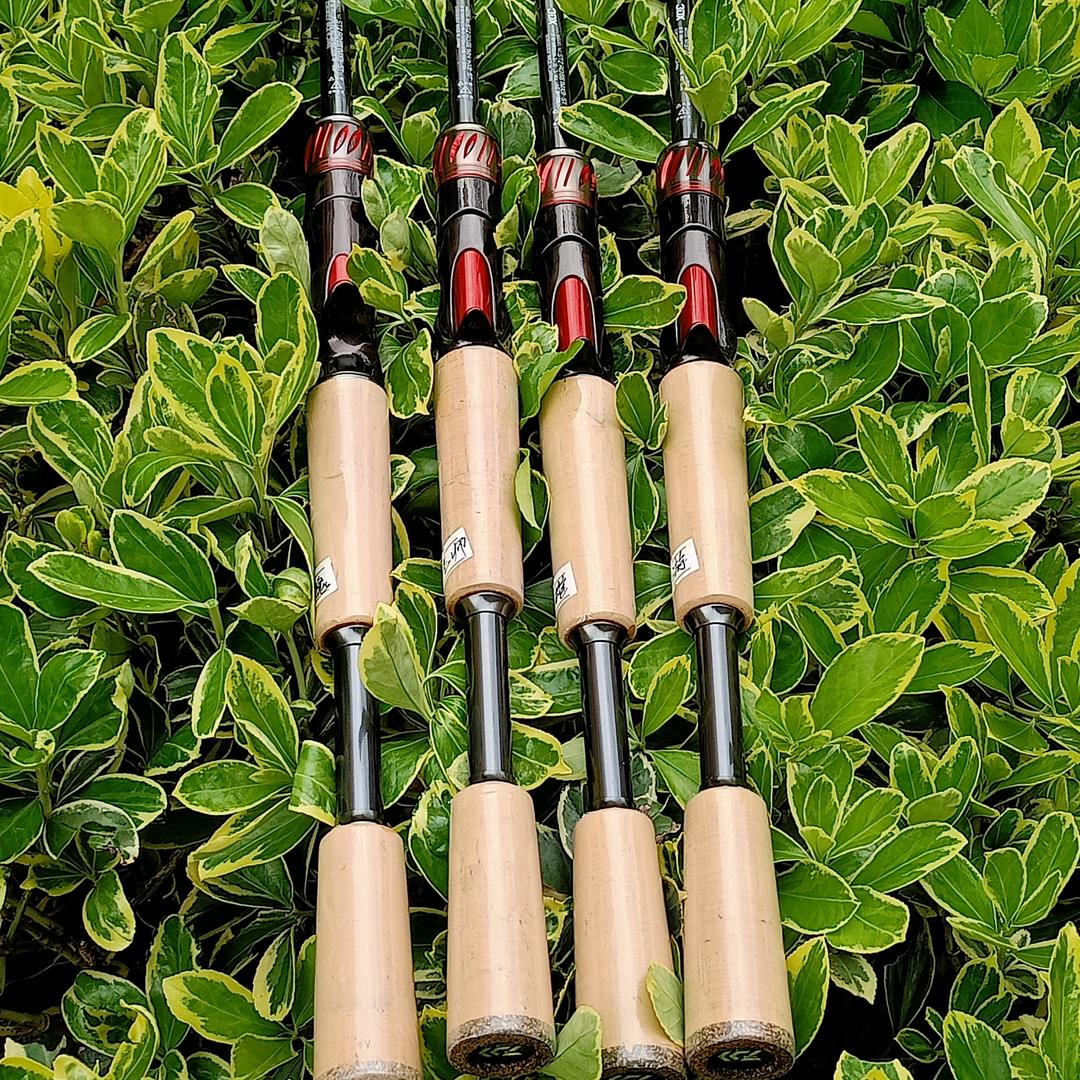 飞影路亚工作室