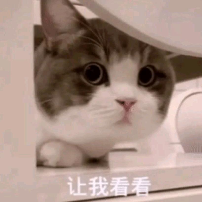 路过哪里