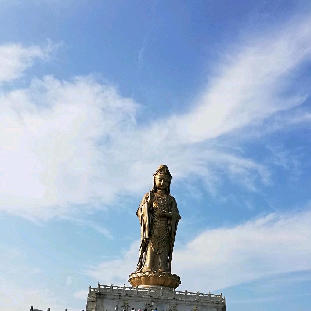 顺其自然🌻