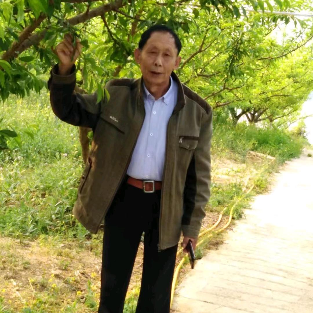 检老头