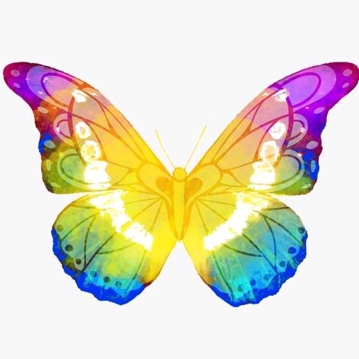 心有千层梦，梦断断千层