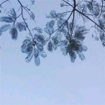 上善若水ぅ