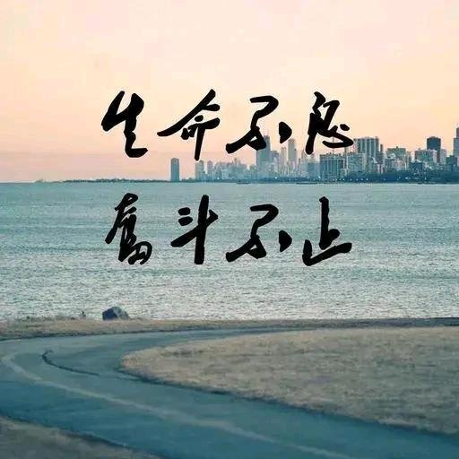 旅行