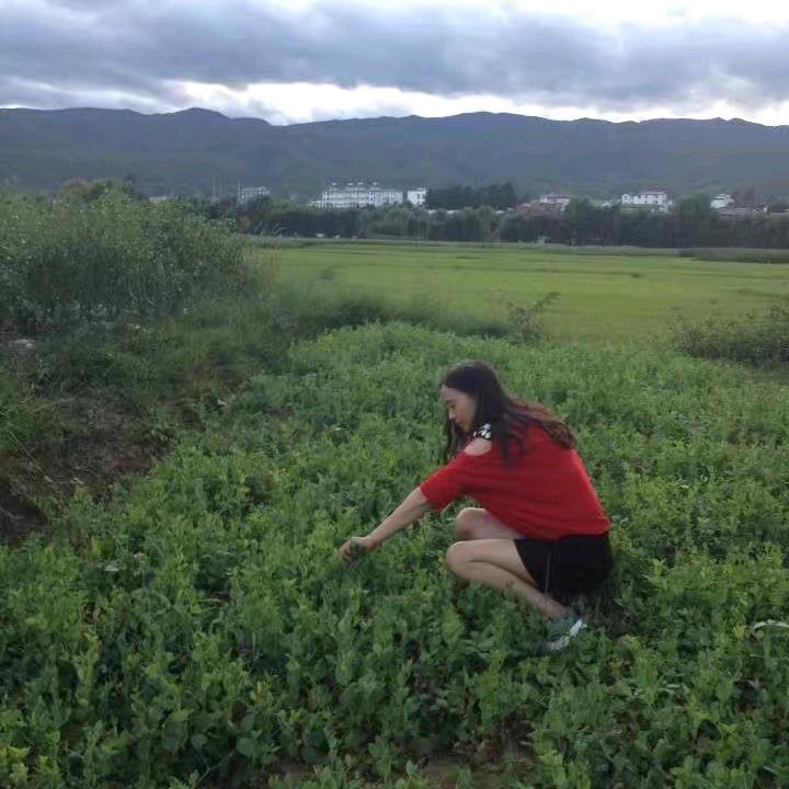 欧阳小院
