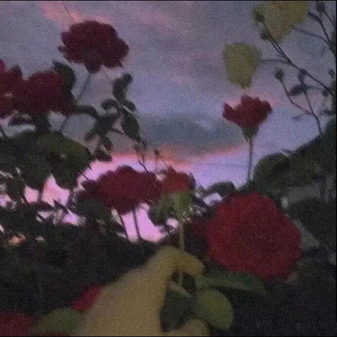 暮怀安