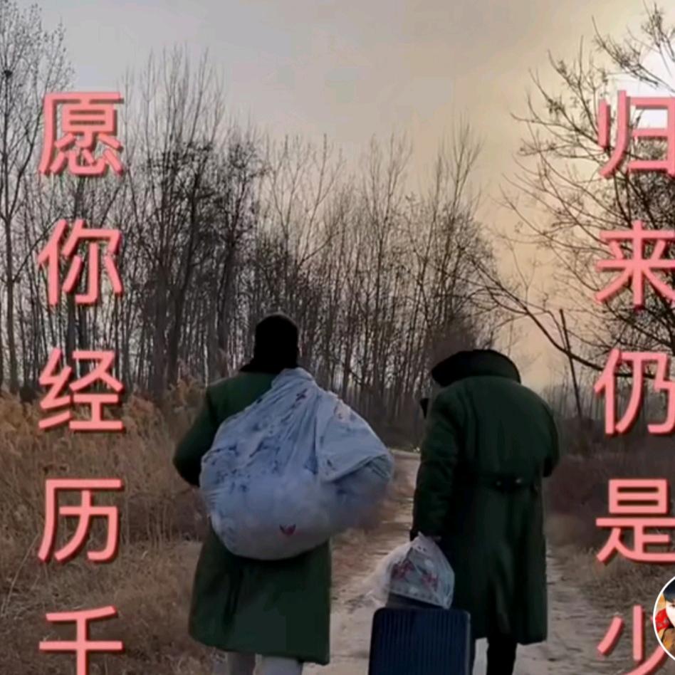 平淡年华