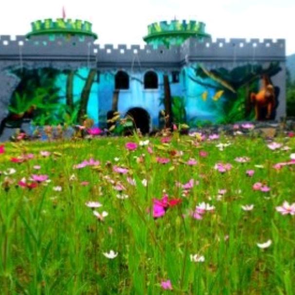 重庆酉阳桃花岛𡷊主