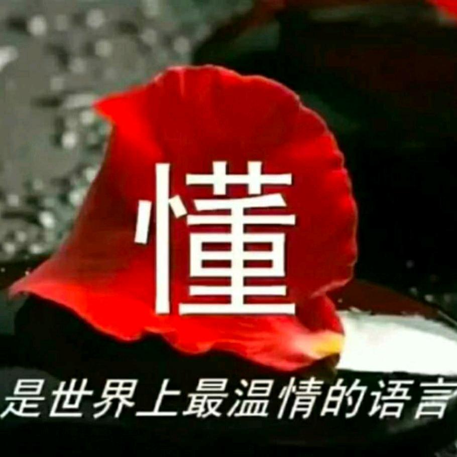 冷心月（感谢点赞）