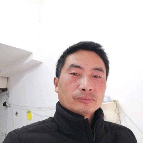 大兴花卉