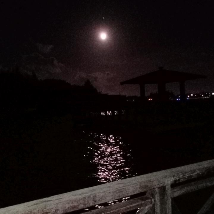 笑看尘世