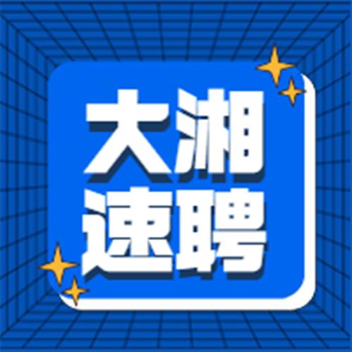 大湘速聘