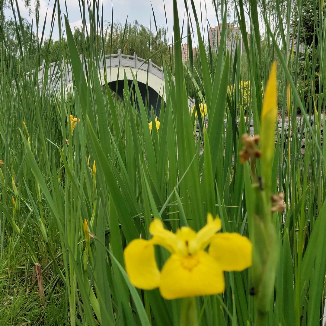 溪水