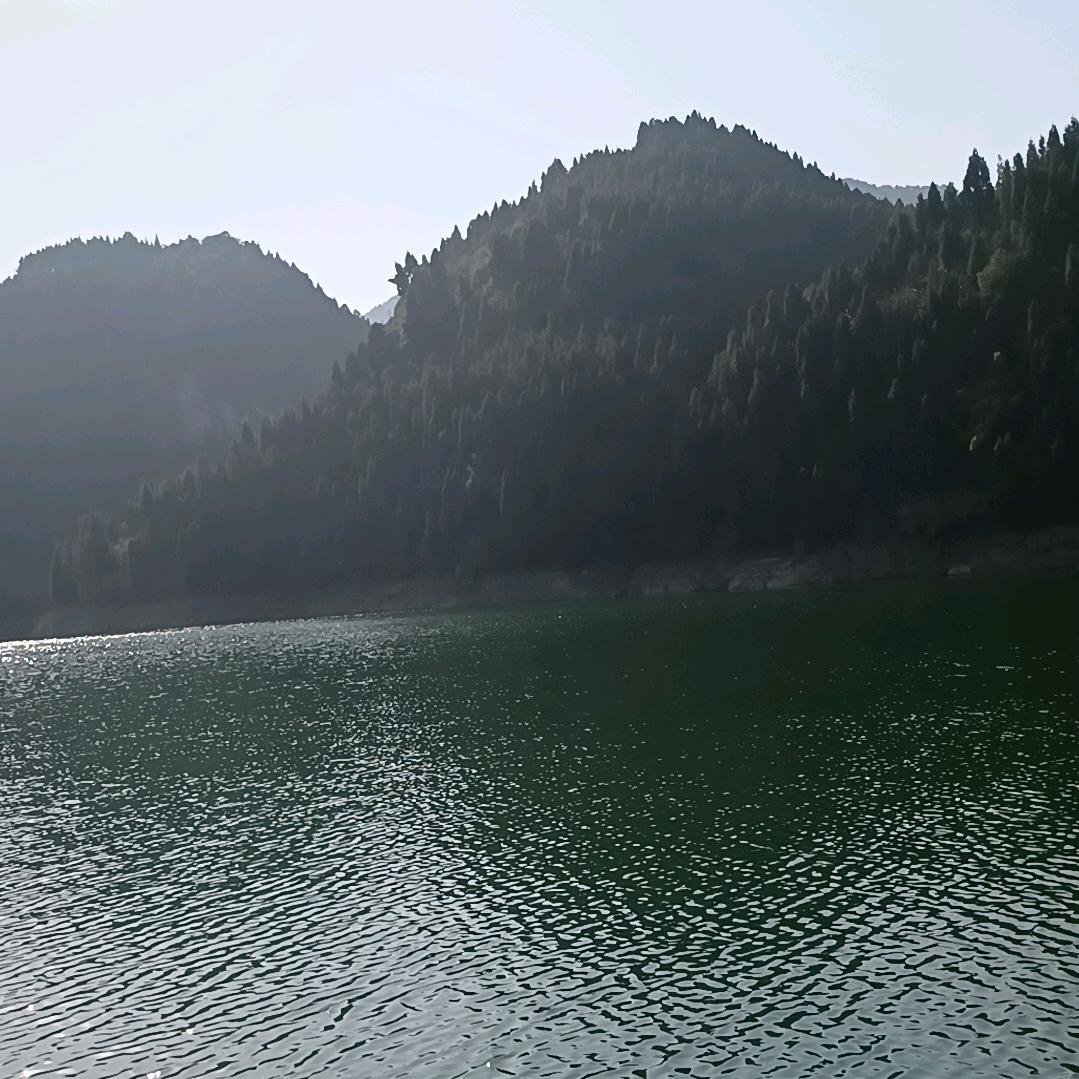 宇，轩，鑫mmdbb