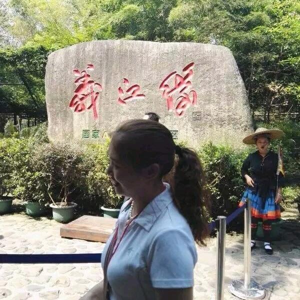 一支梅