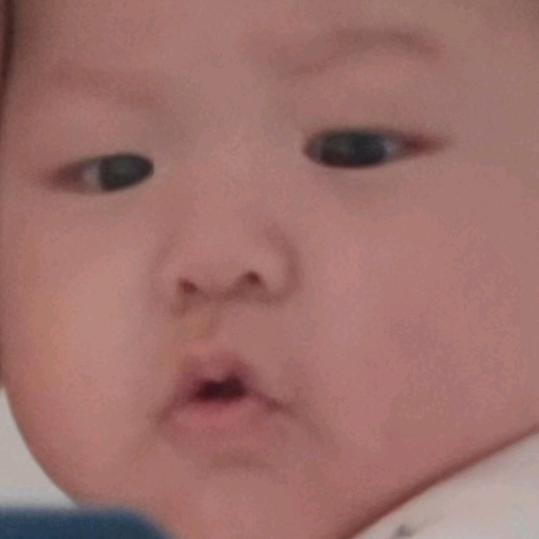 胖仔仔的快乐生活