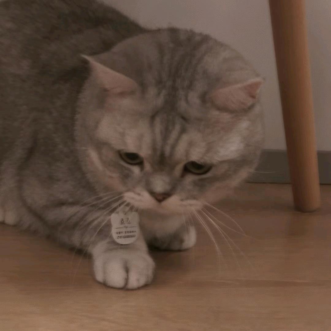 我不是小新